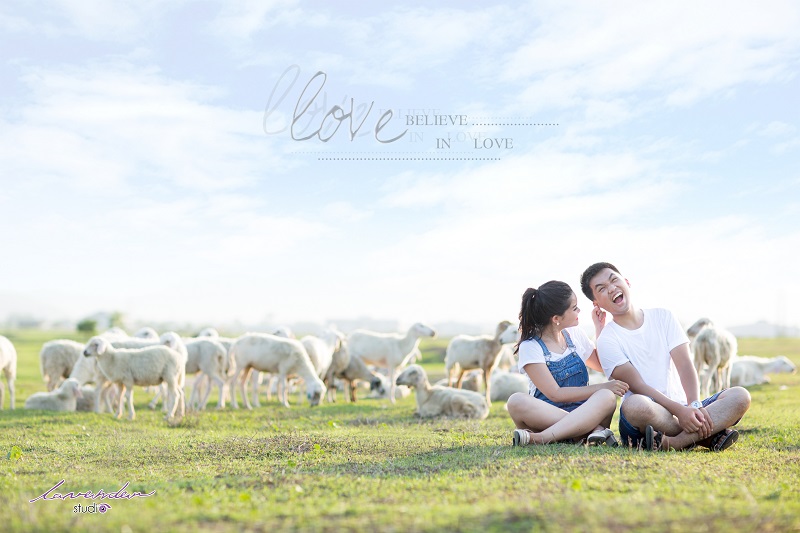 Hình ảnh vui đùa giữa những chú cừu trắng xinh làm nổi bật lên sự vui vẻ hạnh phúc của cặp đôi trẻ (Hình minh họa)