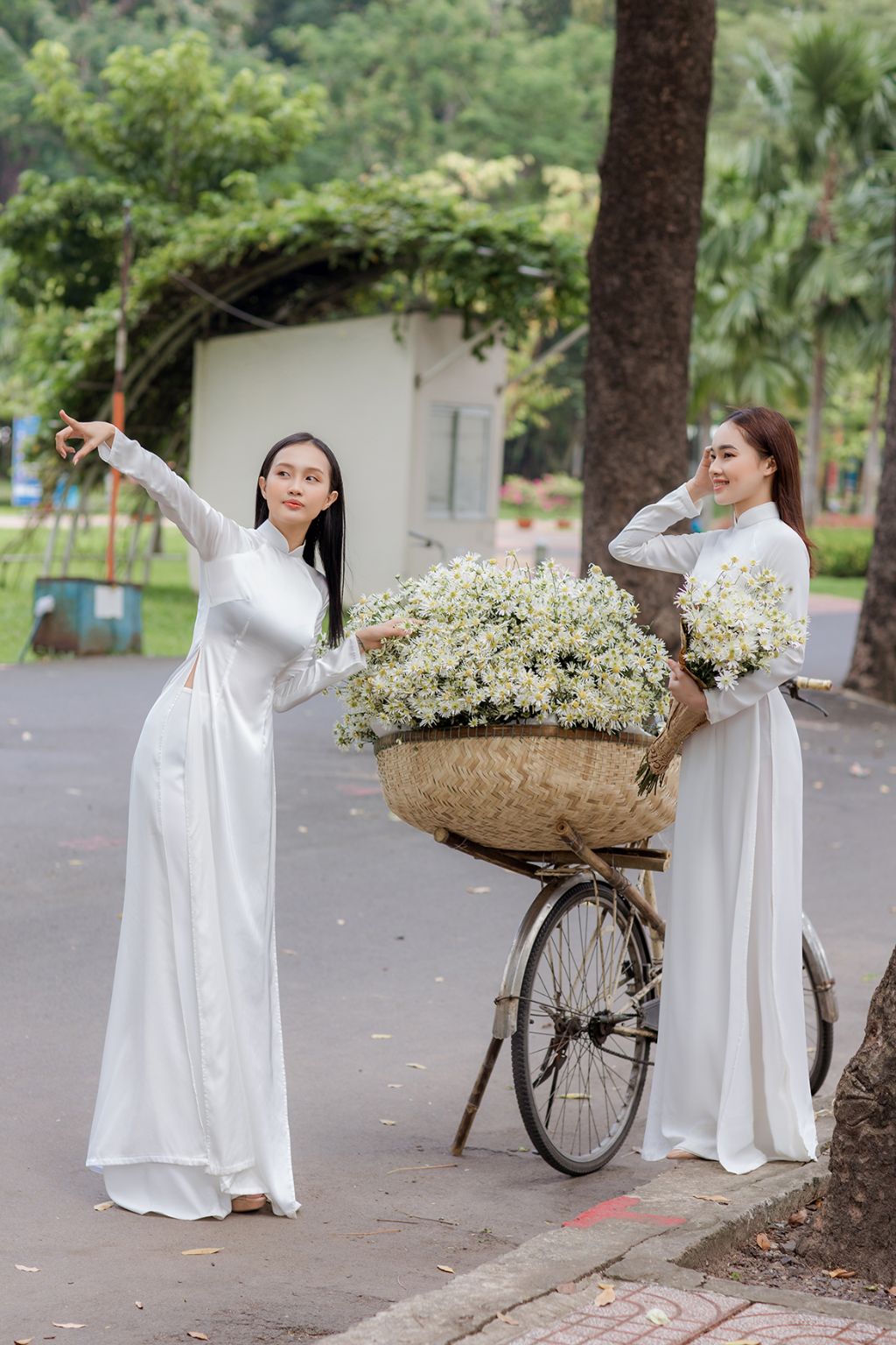 Giới thiệu dịch vụ chụp hình áo dài cúc họa mi ở Sài Gòn