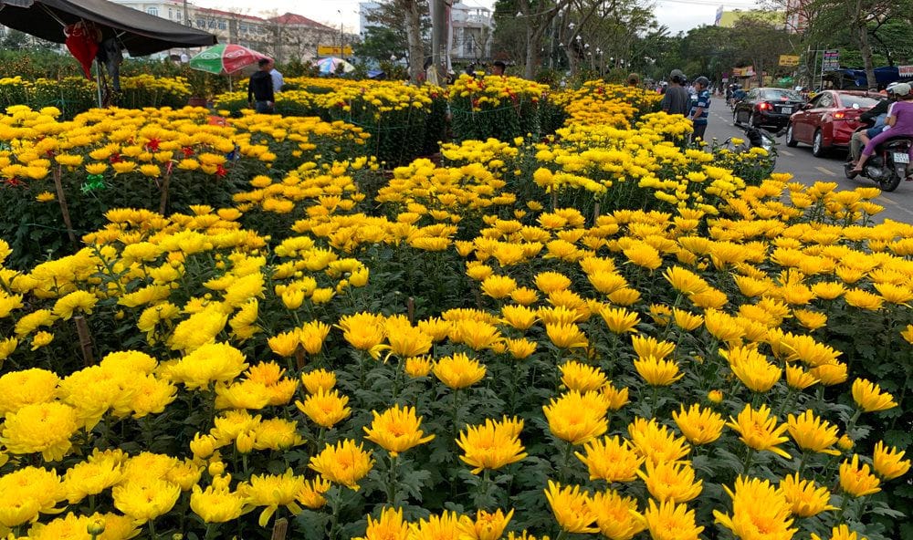 chợ hoa điểm chụp ảnh Tết đẹp ở Đà Nẵng