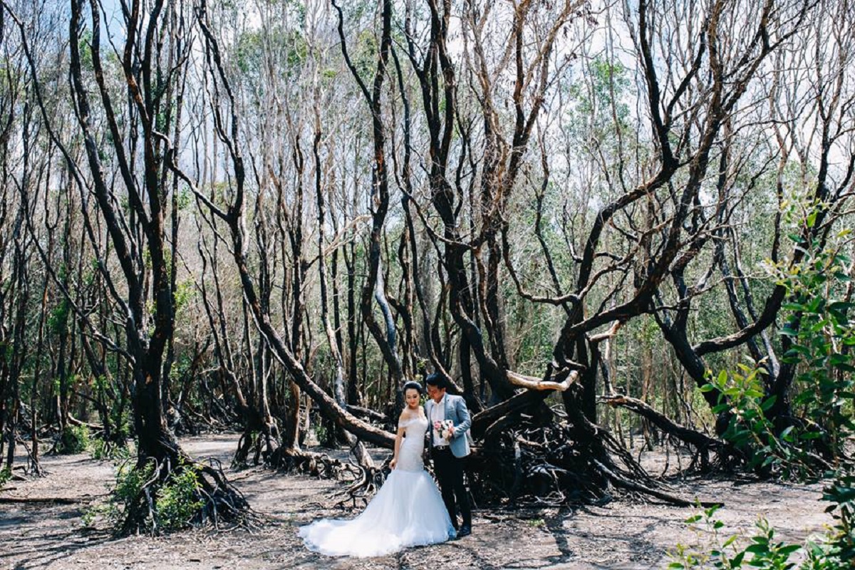 Chụp hình cưới Hồ Cốc tại khu rừng nguyên sinh